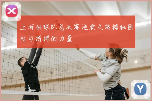 上海排球队总决赛逆袭之路揭秘团结与拼搏的力量