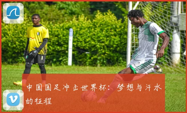 中国国足冲击世界杯：梦想与汗水的征程