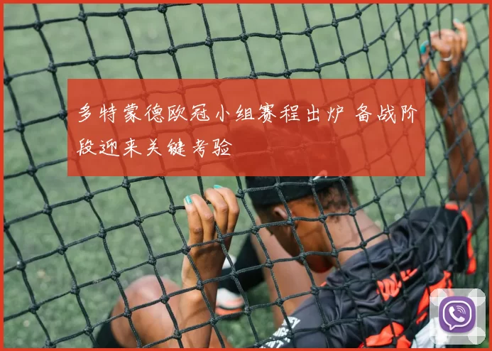 多特蒙德欧冠小组赛程出炉 备战阶段迎来关键考验