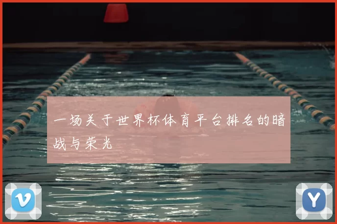 一场关于世界杯体育平台排名的暗战与荣光