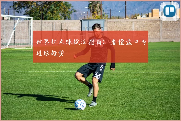 世界杯大球投注指南:看懂盘口与进球趋势