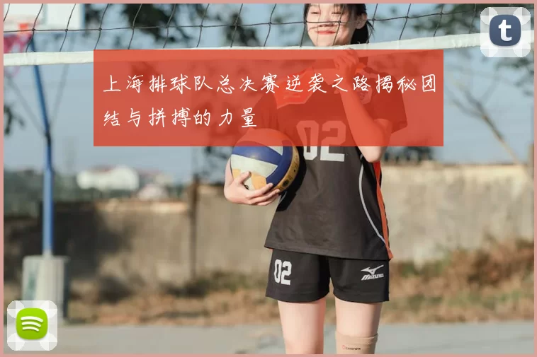 上海排球队总决赛逆袭之路揭秘团结与拼搏的力量