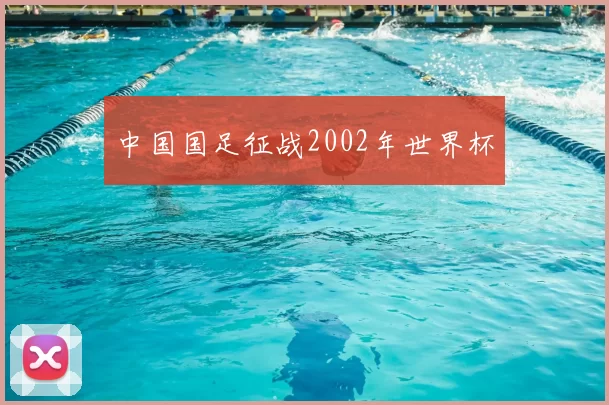 中国国足征战2002年世界杯