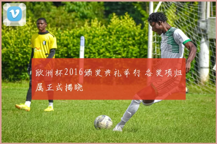 欧洲杯2016颁奖典礼举行 各奖项归属正式揭晓