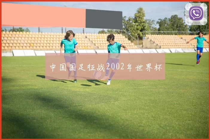 中国国足征战2002年世界杯