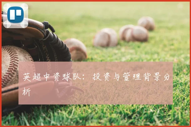 英超中资球队：投资与管理背景分析