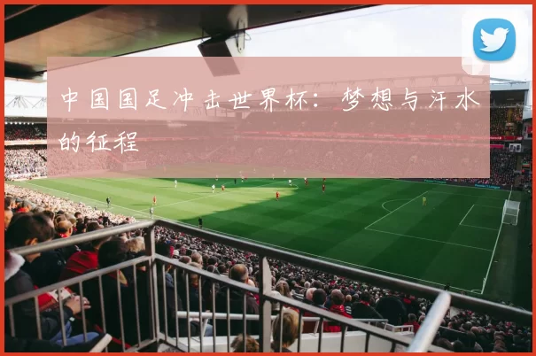 中国国足冲击世界杯：梦想与汗水的征程