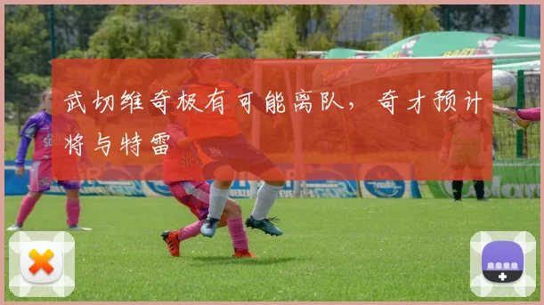 武切维奇极有可能离队,奇才预计将与特雷