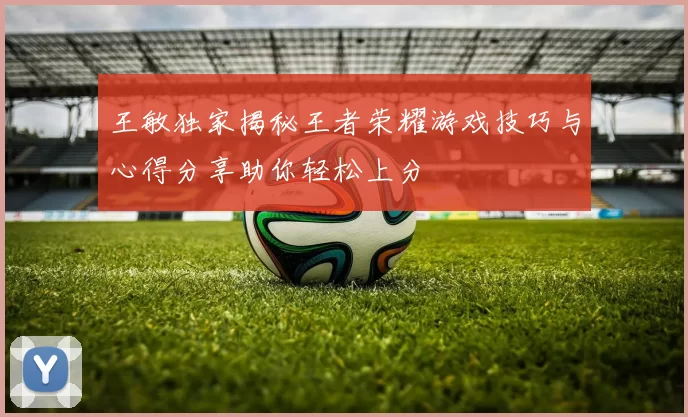 王敏独家揭秘王者荣耀游戏技巧与心得分享助你轻松上分