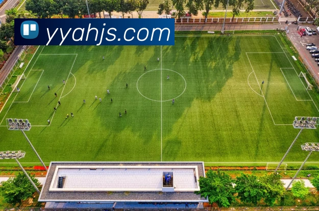 星空体育发展历程